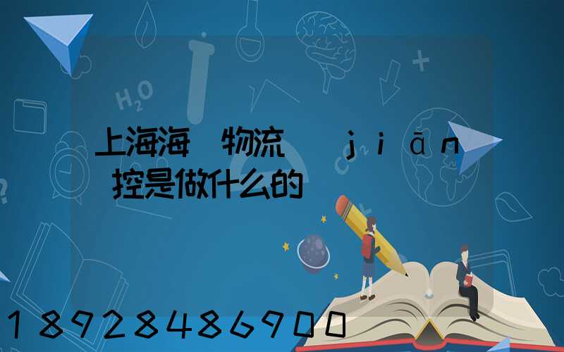 上海海關物流監(jiān)控是做什么的