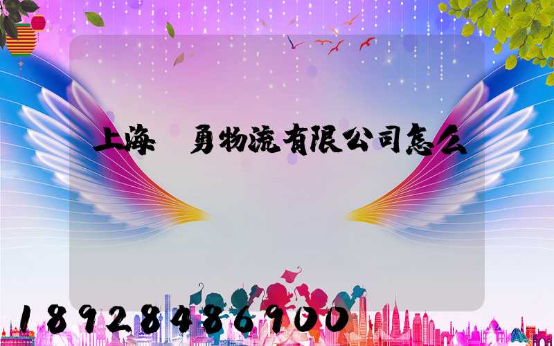 上海興勇物流有限公司怎么樣