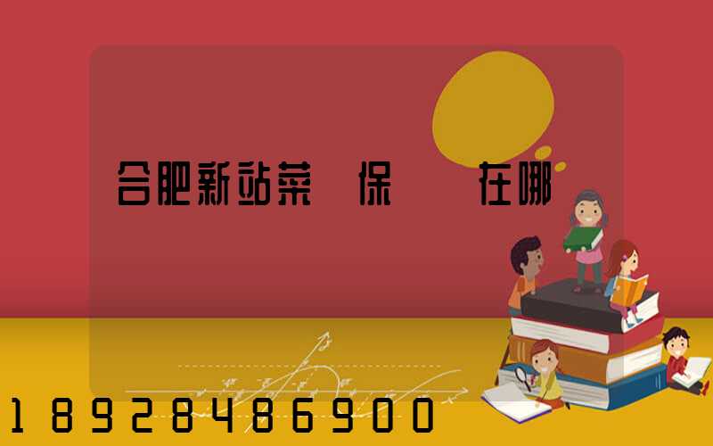 合肥新站菜鳥保稅倉在哪