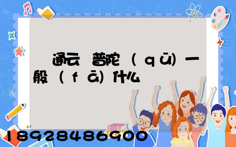 圓通云倉普陀區(qū)一般發(fā)什么