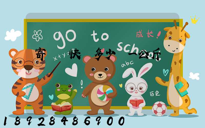 寄國際快遞多少錢一公斤