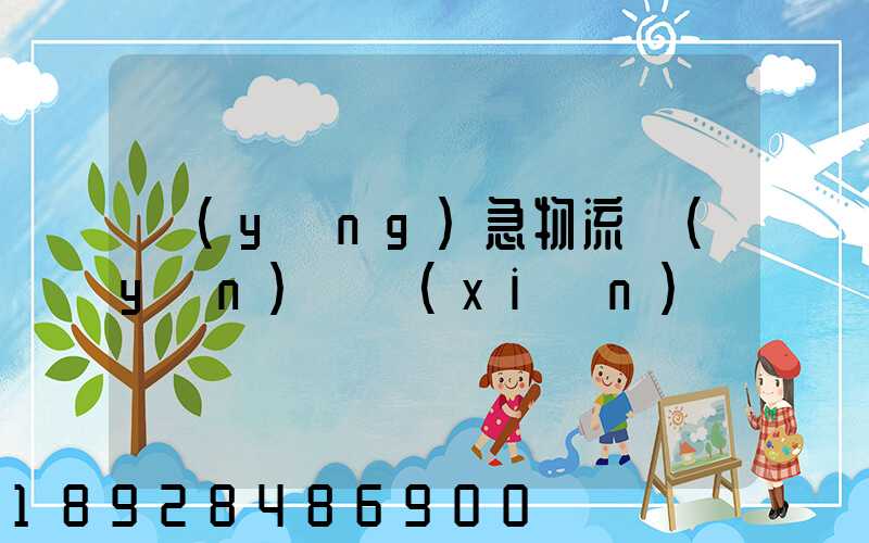 應(yīng)急物流運(yùn)輸現(xiàn)狀