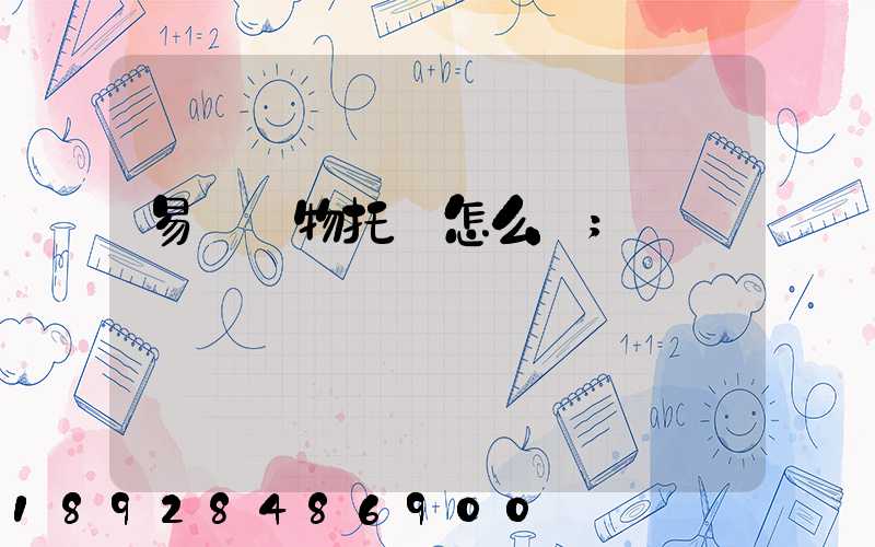 易豐寵物托運怎么樣