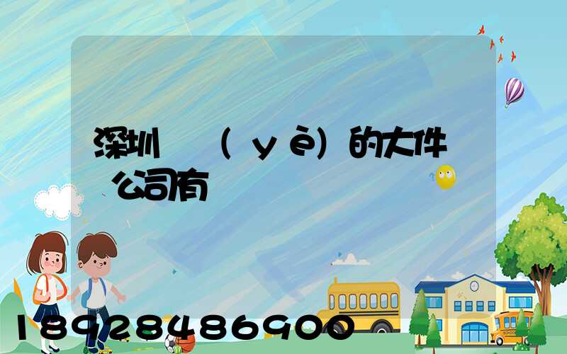 深圳專業(yè)的大件運輸公司有嗎