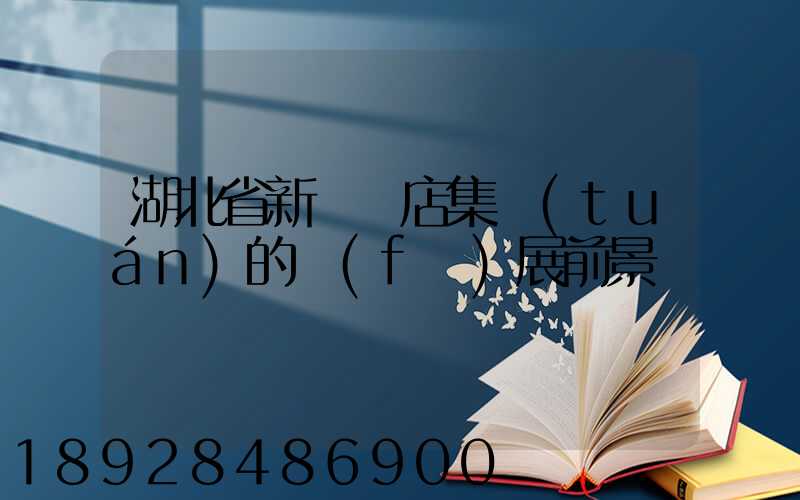 湖北省新華書店集團(tuán)的發(fā)展前景