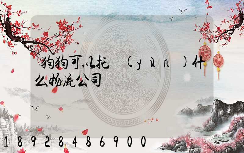 狗狗可以托運(yùn)什么物流公司