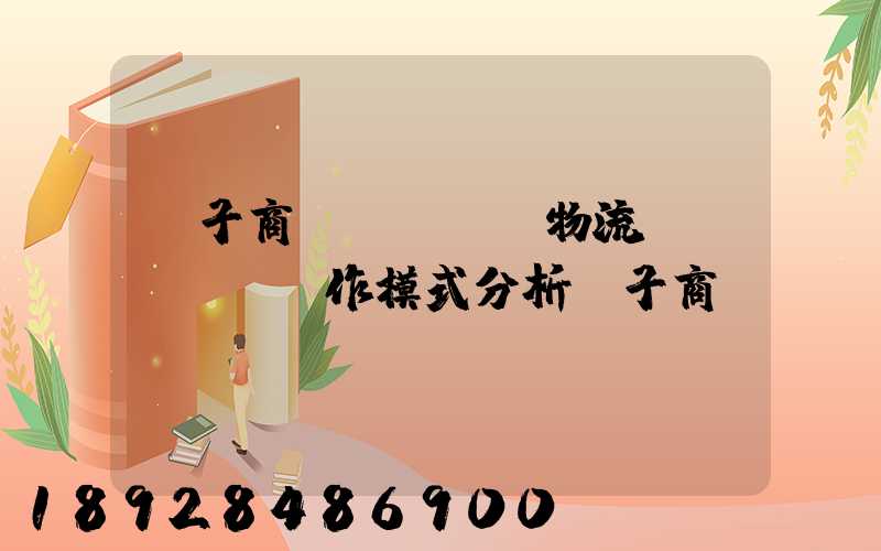 電子商務(wù)物流運(yùn)作模式分析電子商務(wù)倉(cāng)儲(chǔ)物流模式分析