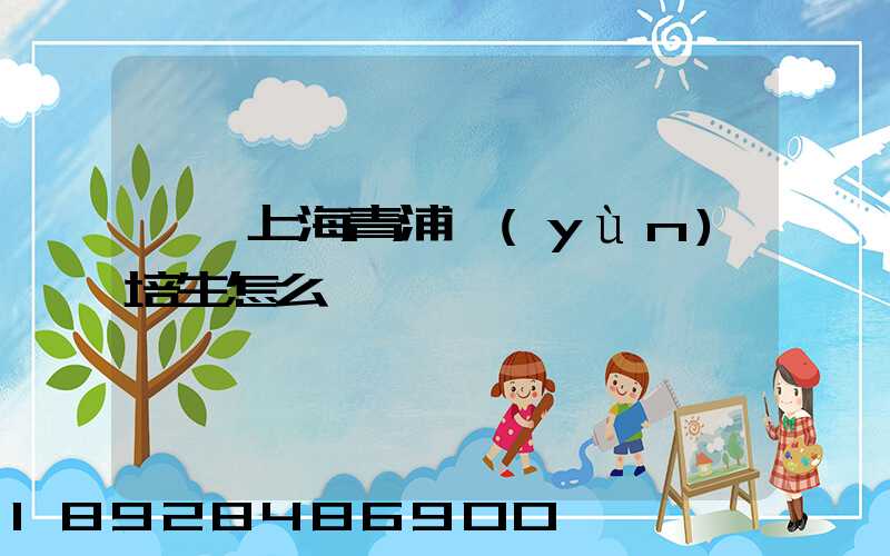 順豐上海青浦運(yùn)培生怎么樣